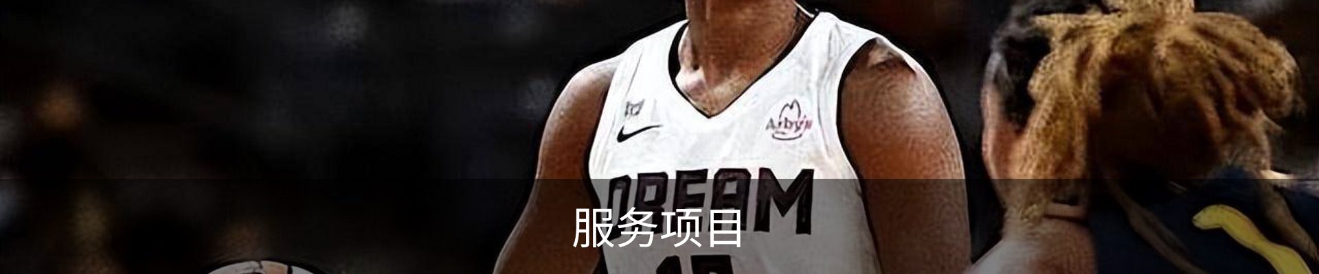 服务项目